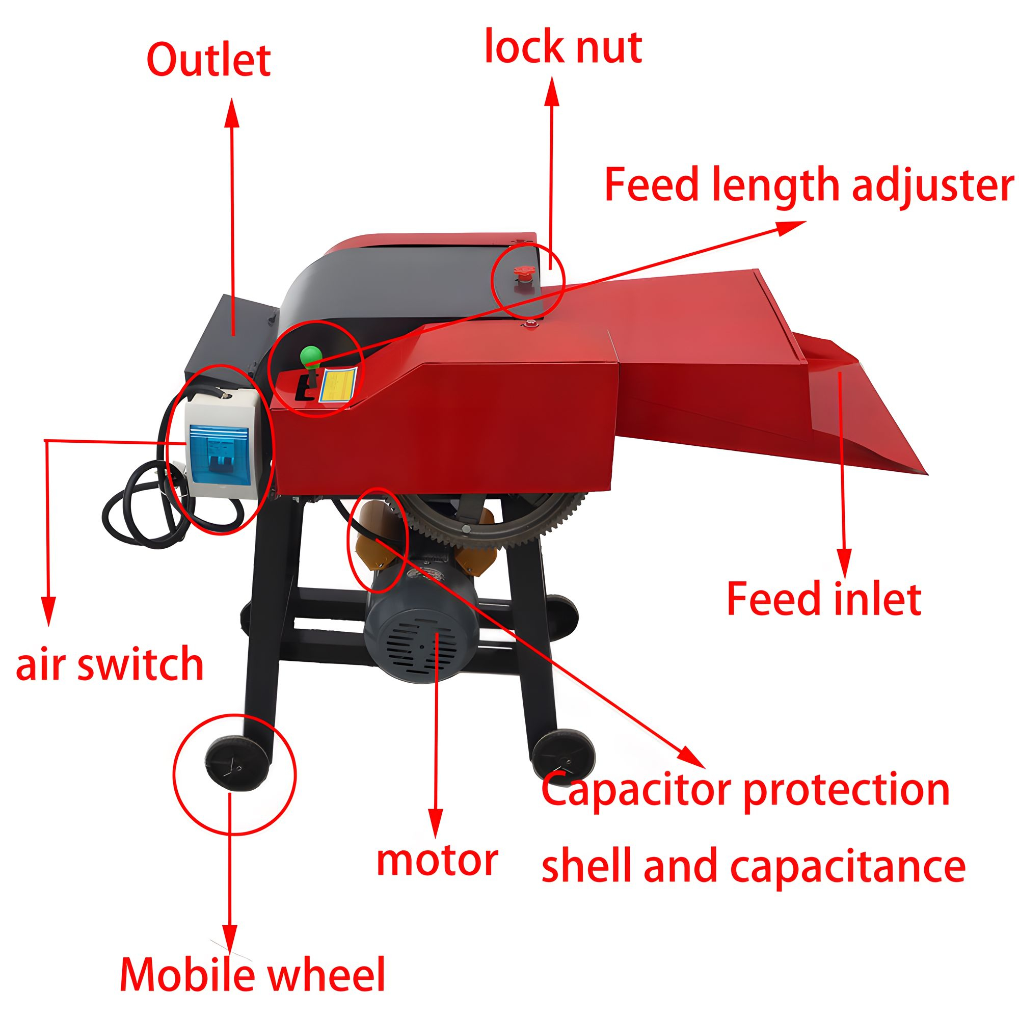 239246-3.jpg